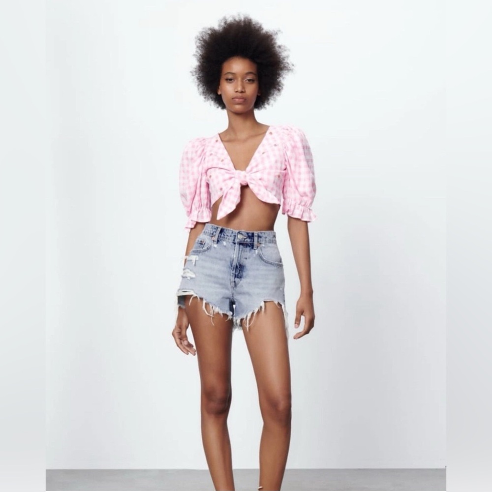 Zara Pink Gingham Tie-Front Cropped Blouse